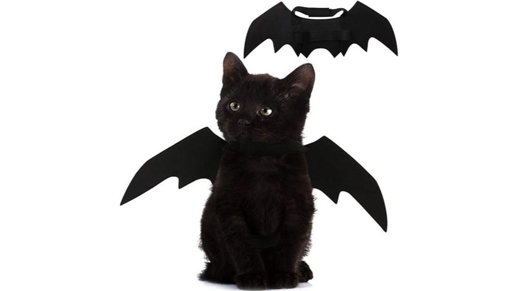 cat bat wings costume