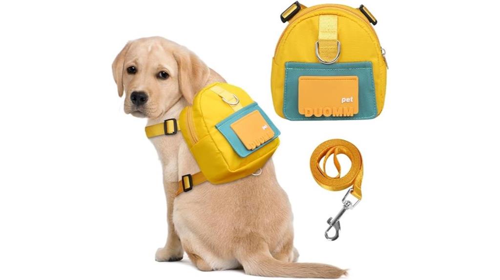 dog harness with leash